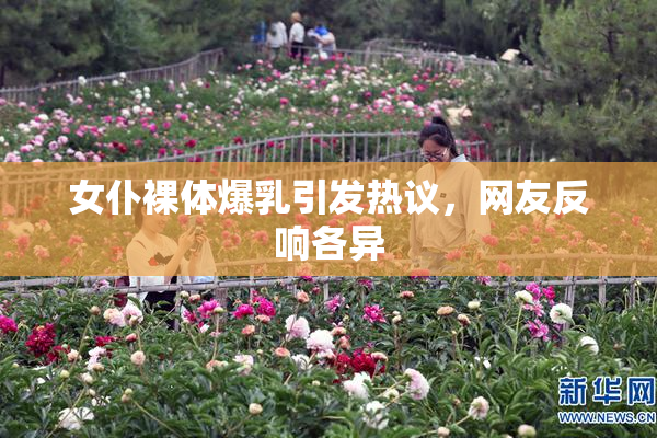 女仆裸体爆乳引发热议，网友反响各异