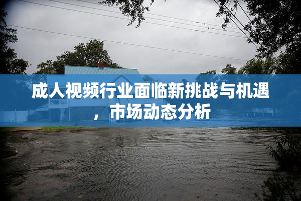 成人视频行业面临新挑战与机遇，市场动态分析