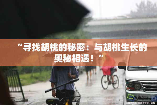 “寻找胡桃的秘密：与胡桃生长的奥秘相遇！”