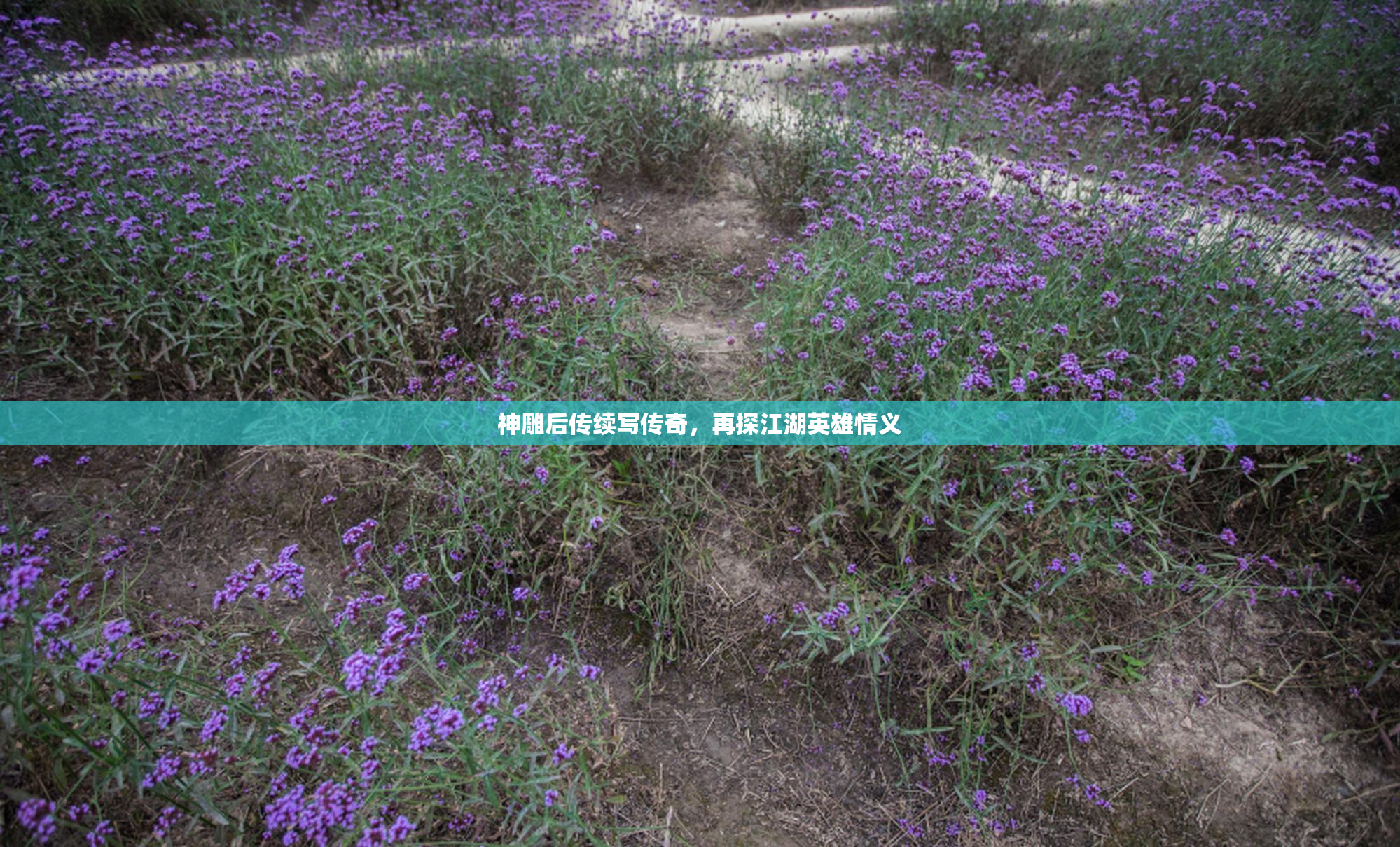 神雕后传续写传奇，再探江湖英雄情义