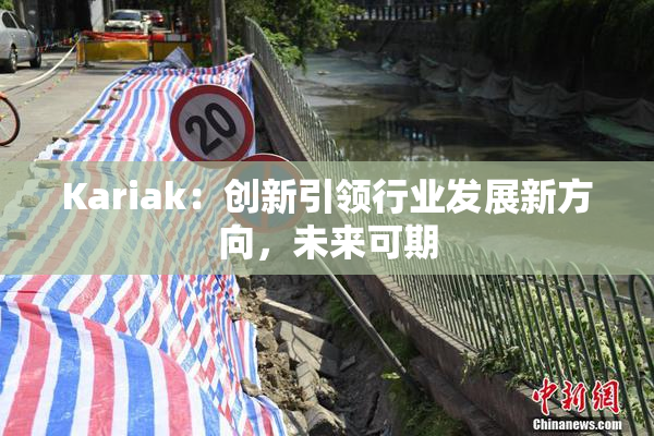 Kariak：创新引领行业发展新方向，未来可期