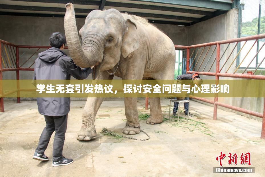 学生无套引发热议，探讨安全问题与心理影响
