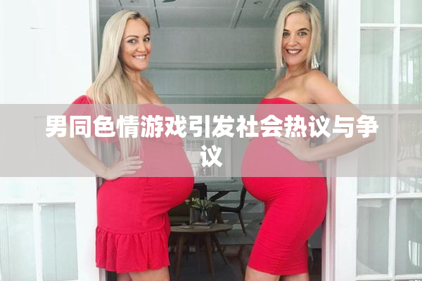 男同色情游戏引发社会热议与争议