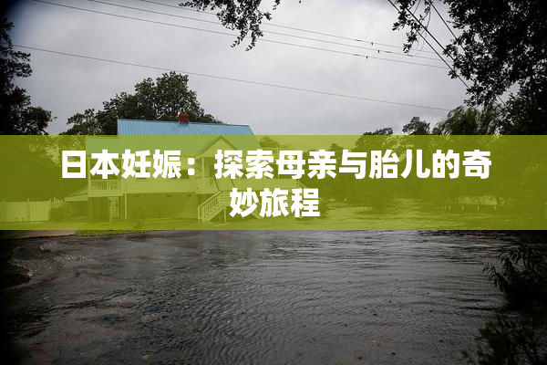 日本妊娠：探索母亲与胎儿的奇妙旅程