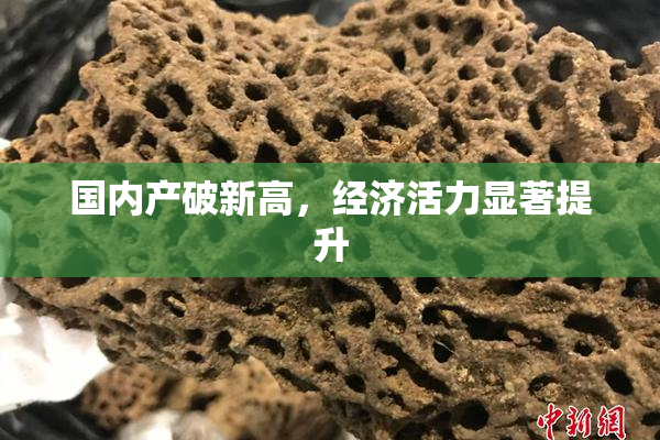 国内产破新高，经济活力显著提升