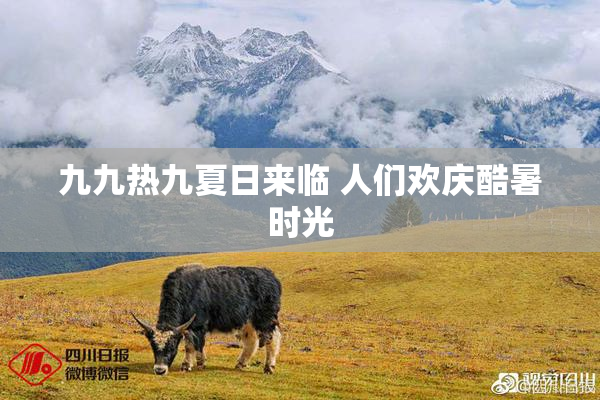 九九热九夏日来临 人们欢庆酷暑时光