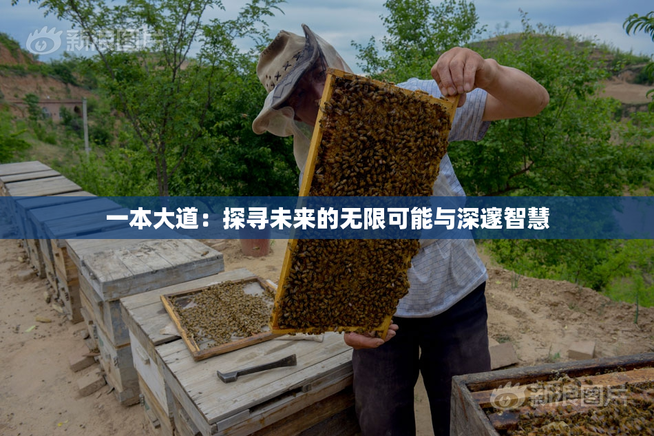 一本大道：探寻未来的无限可能与深邃智慧