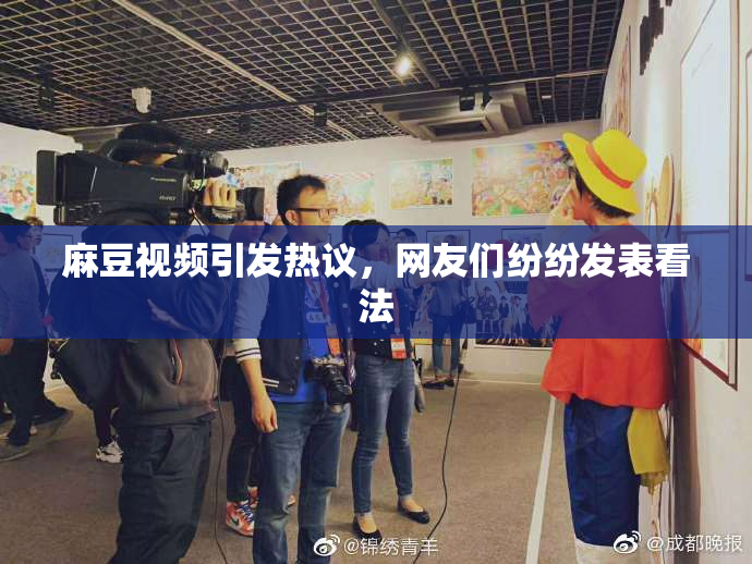 麻豆视频引发热议，网友们纷纷发表看法