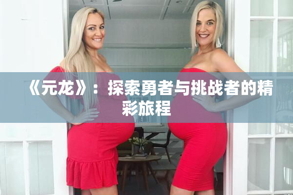 《元龙》：探索勇者与挑战者的精彩旅程