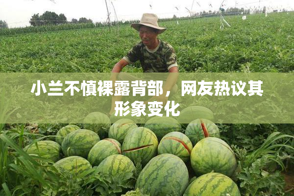 小兰不慎裸露背部，网友热议其形象变化