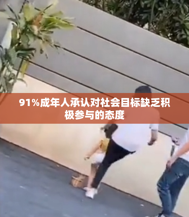 91%成年人承认对社会目标缺乏积极参与的态度