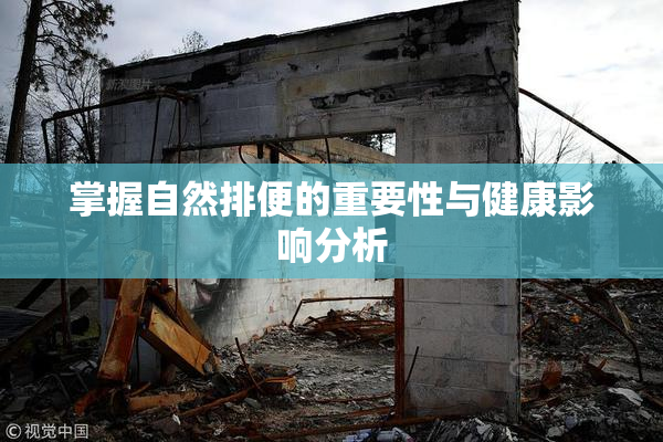 掌握自然排便的重要性与健康影响分析