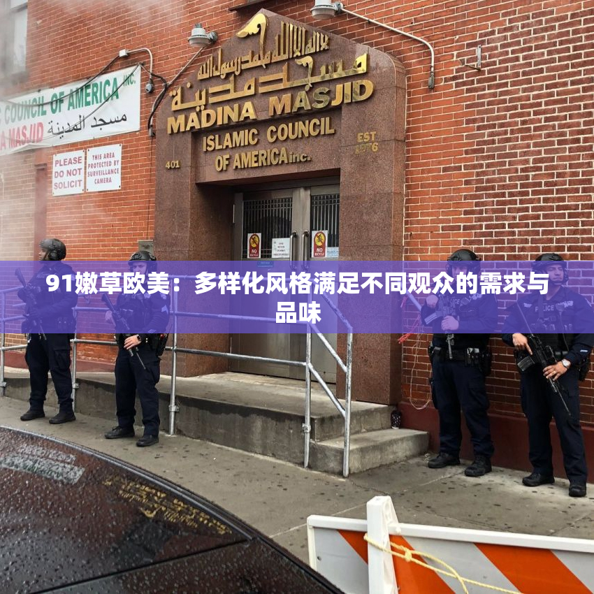 91嫩草欧美：多样化风格满足不同观众的需求与品味