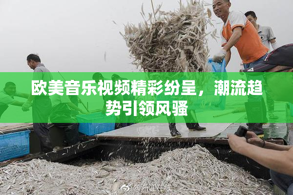 欧美音乐视频精彩纷呈，潮流趋势引领风骚