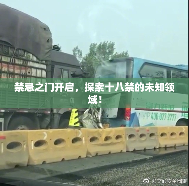 禁忌之门开启，探索十八禁的未知领域！