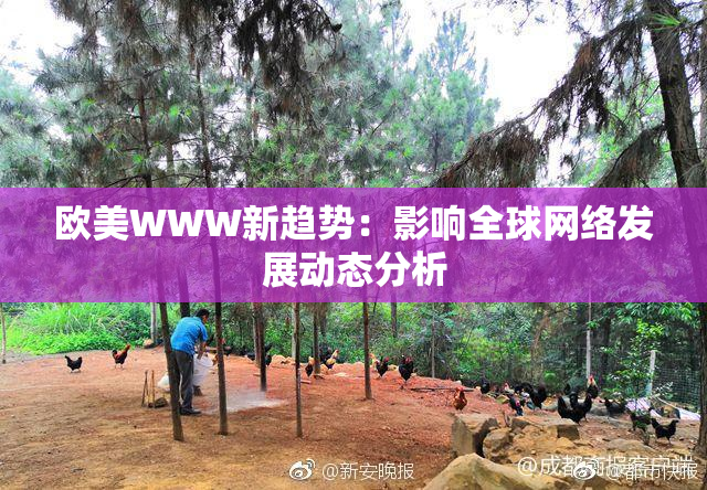 欧美WWW新趋势：影响全球网络发展动态分析