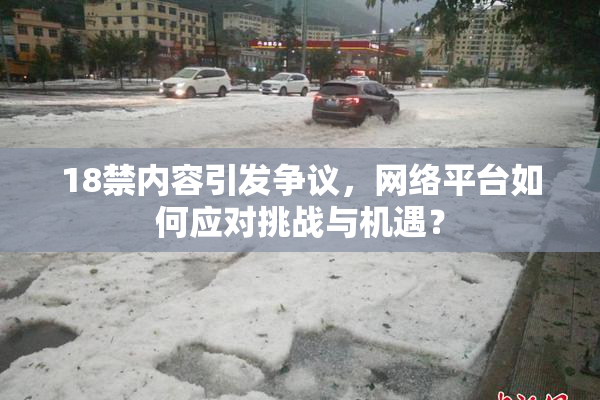 18禁内容引发争议，网络平台如何应对挑战与机遇？