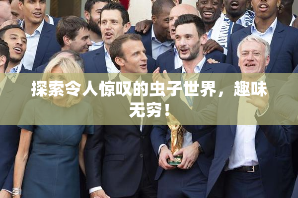探索令人惊叹的虫子世界，趣味无穷！
