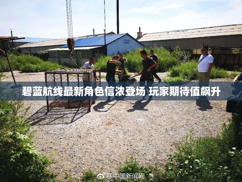 碧蓝航线最新角色信浓登场 玩家期待值飙升