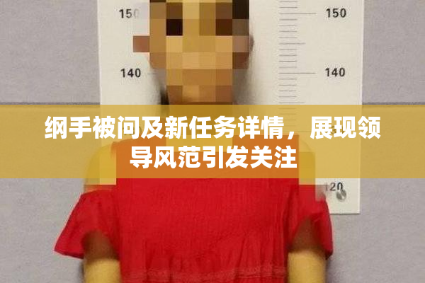 纲手被问及新任务详情，展现领导风范引发关注