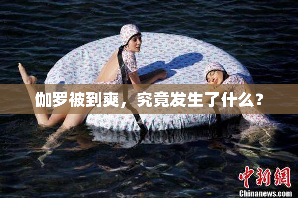 伽罗被到爽，究竟发生了什么？