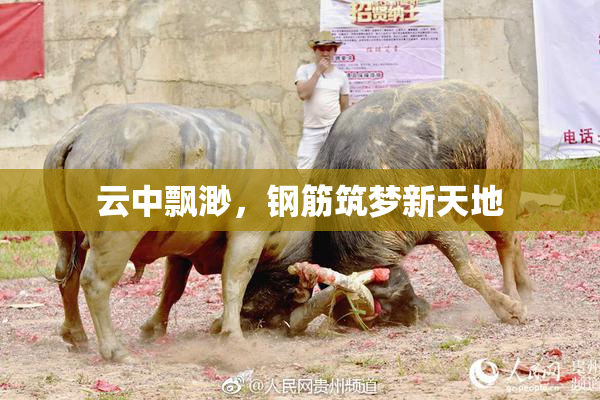云中飘渺，钢筋筑梦新天地
