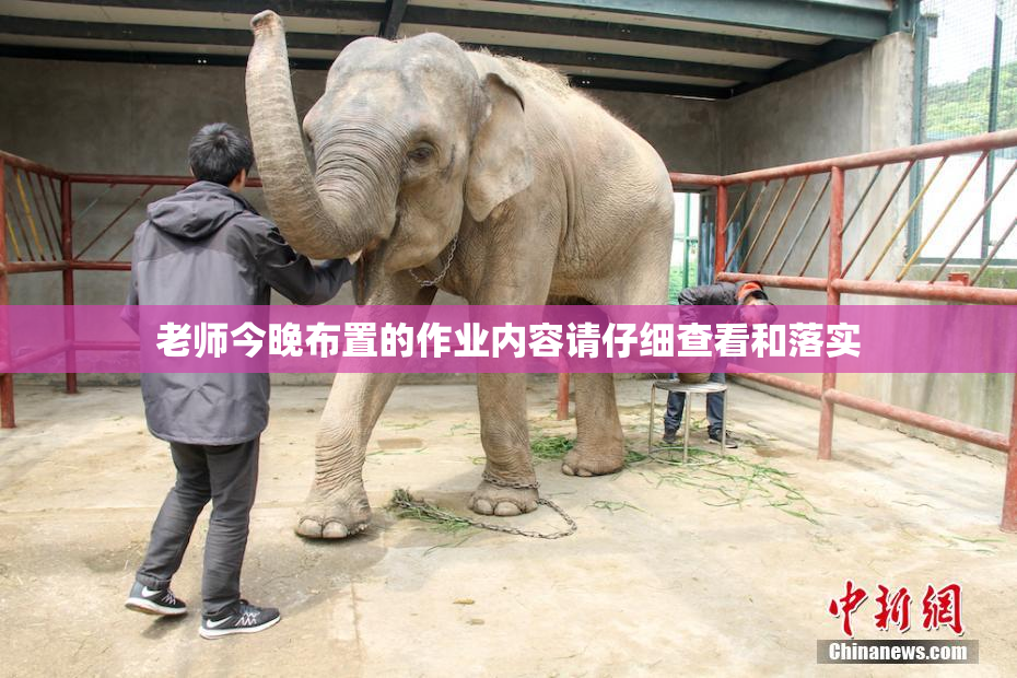 老师今晚布置的作业内容请仔细查看和落实