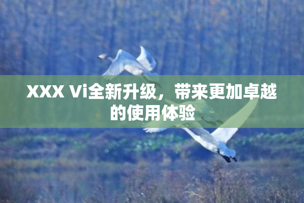 XXX Vi全新升级，带来更加卓越的使用体验