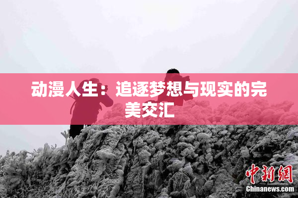动漫人生：追逐梦想与现实的完美交汇