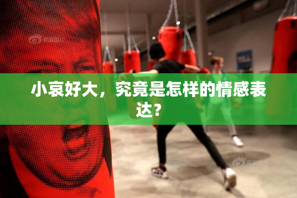 小哀好大，究竟是怎样的情感表达？