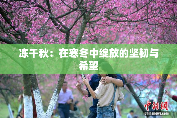 冻千秋：在寒冬中绽放的坚韧与希望