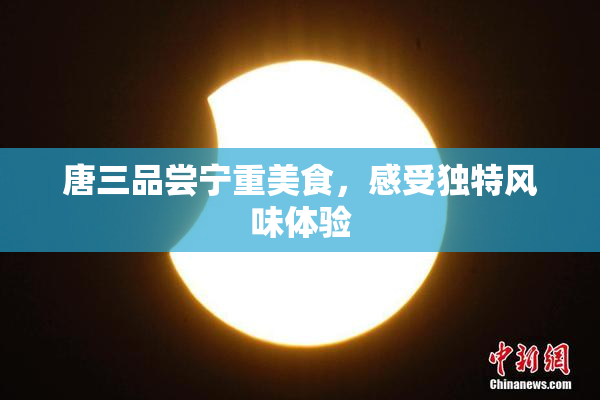 唐三品尝宁重美食，感受独特风味体验