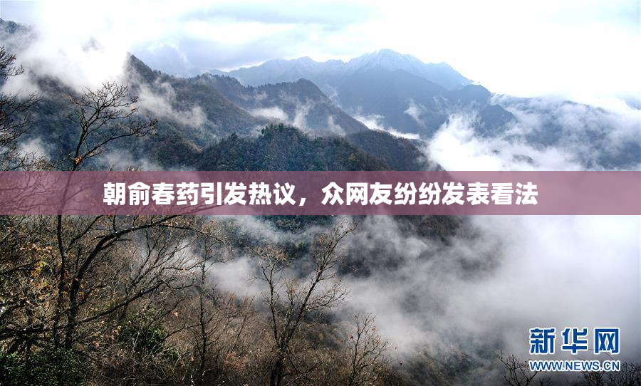 朝俞春药引发热议，众网友纷纷发表看法