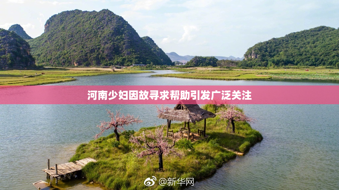 河南少妇因故寻求帮助引发广泛关注