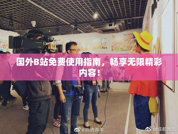 国外B站免费使用指南，畅享无限精彩内容！