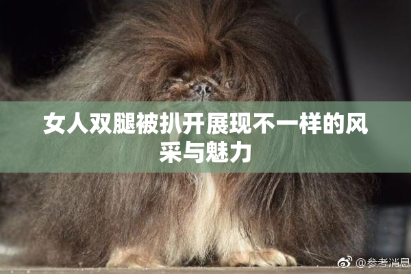 女人双腿被扒开展现不一样的风采与魅力