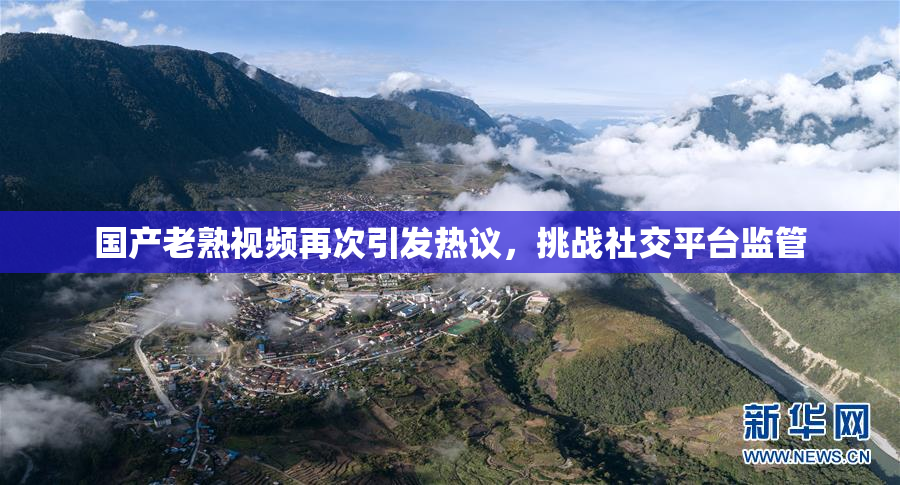 国产老熟视频再次引发热议，挑战社交平台监管
