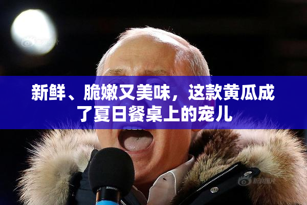 新鲜、脆嫩又美味，这款黄瓜成了夏日餐桌上的宠儿