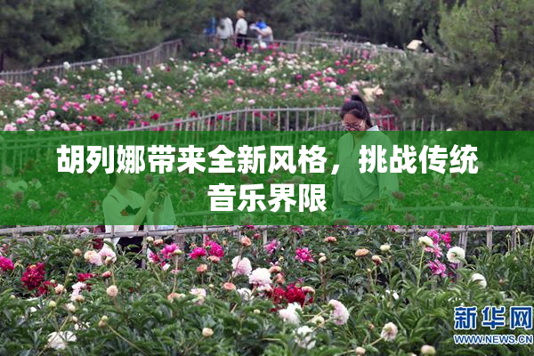 胡列娜带来全新风格，挑战传统音乐界限