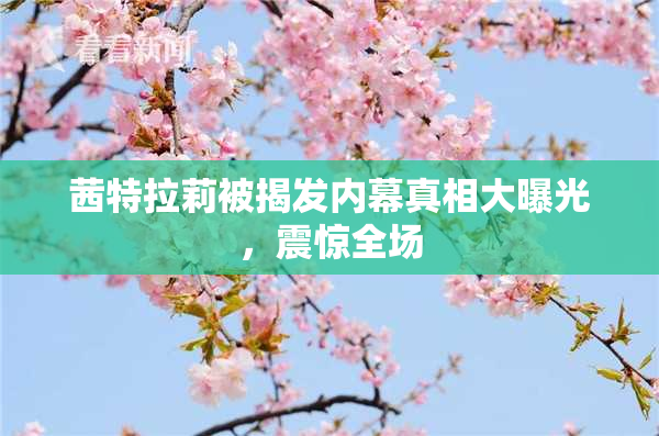茜特拉莉被揭发内幕真相大曝光，震惊全场