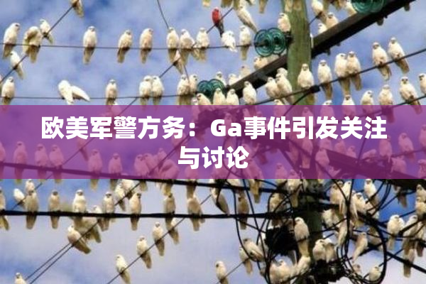 欧美军警方务：Ga事件引发关注与讨论