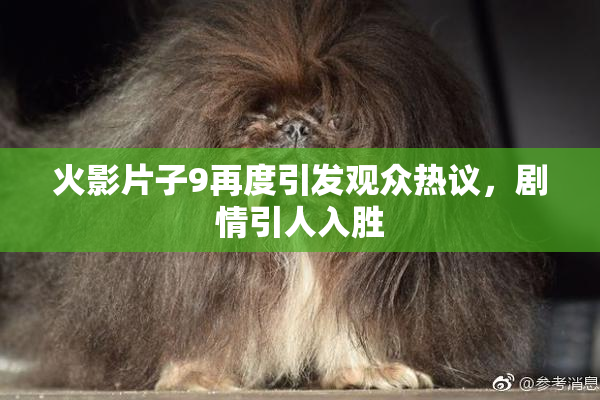 火影片子9再度引发观众热议，剧情引人入胜