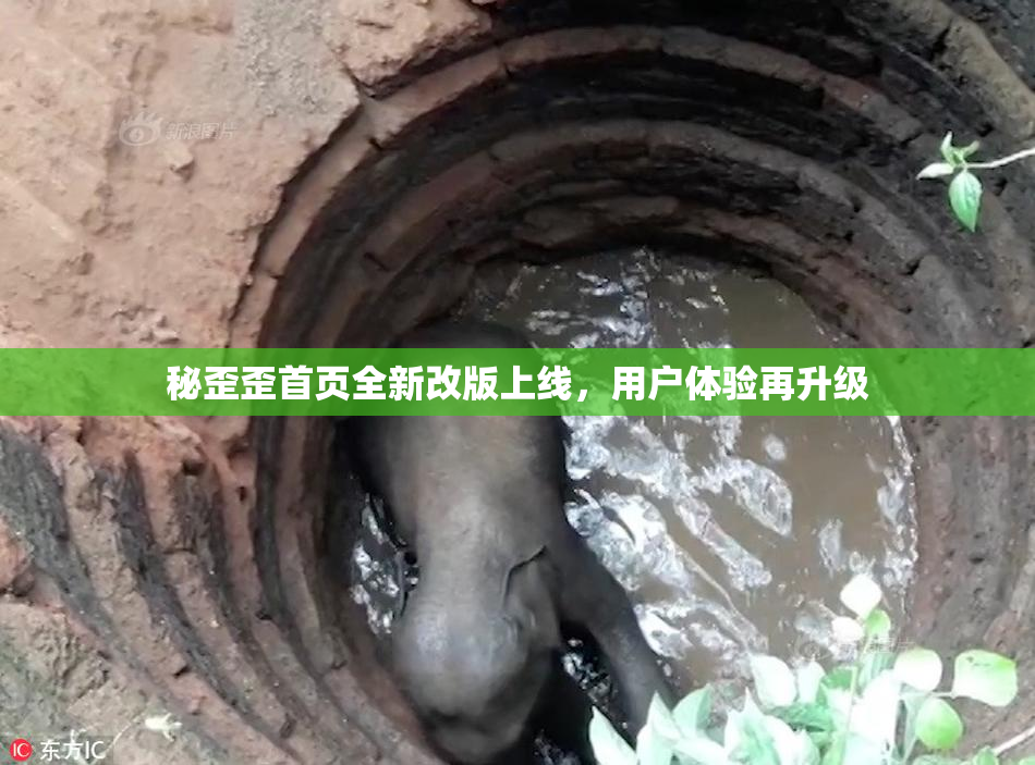 秘歪歪首页全新改版上线，用户体验再升级