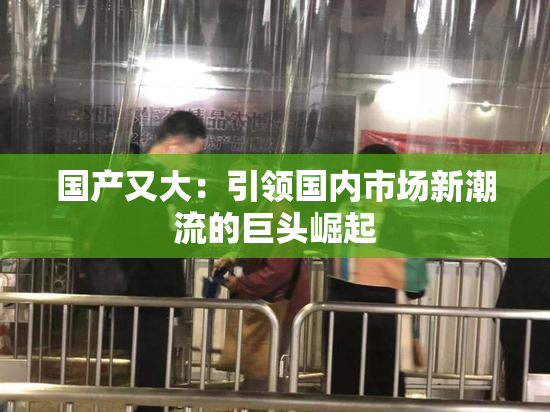 国产又大：引领国内市场新潮流的巨头崛起