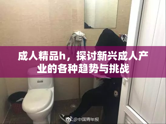 成人精品h，探讨新兴成人产业的各种趋势与挑战