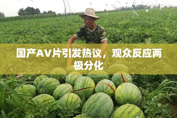 国产AV片引发热议，观众反应两极分化