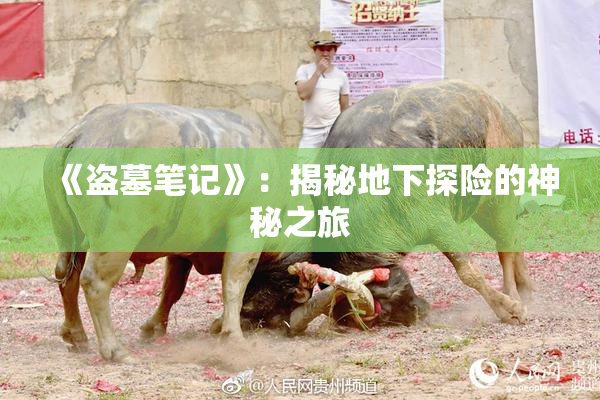 《盗墓笔记》：揭秘地下探险的神秘之旅