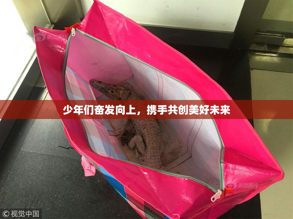 少年们奋发向上，携手共创美好未来