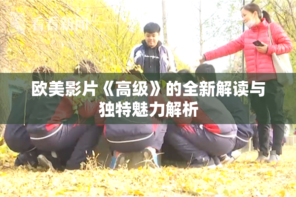 欧美影片《高级》的全新解读与独特魅力解析