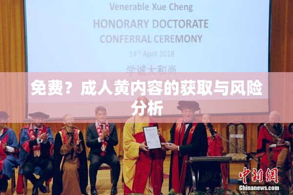免费？成人黄内容的获取与风险分析